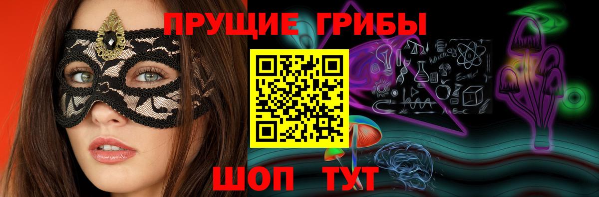 дарнет шоп  Вход с VPN  Клин  Псилоцибиновые грибы Psilocybe 