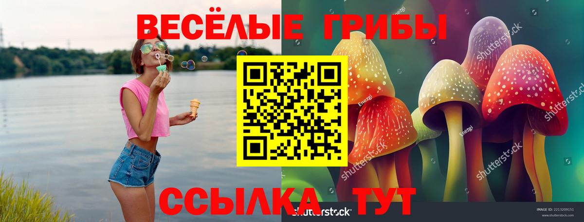 Псилоцибиновые грибы Magic Shrooms Клин